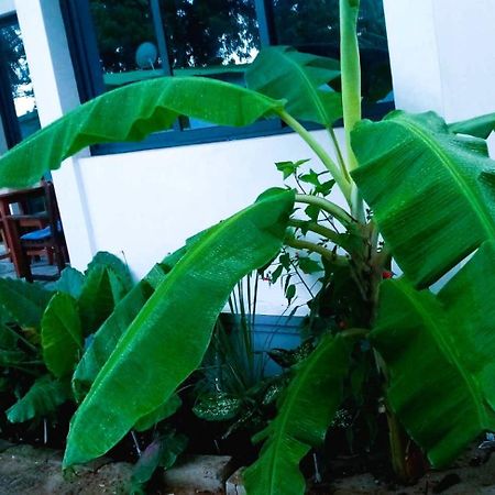 Bungalow Ramena Beach Antsiranana Andjamen Екстериор снимка