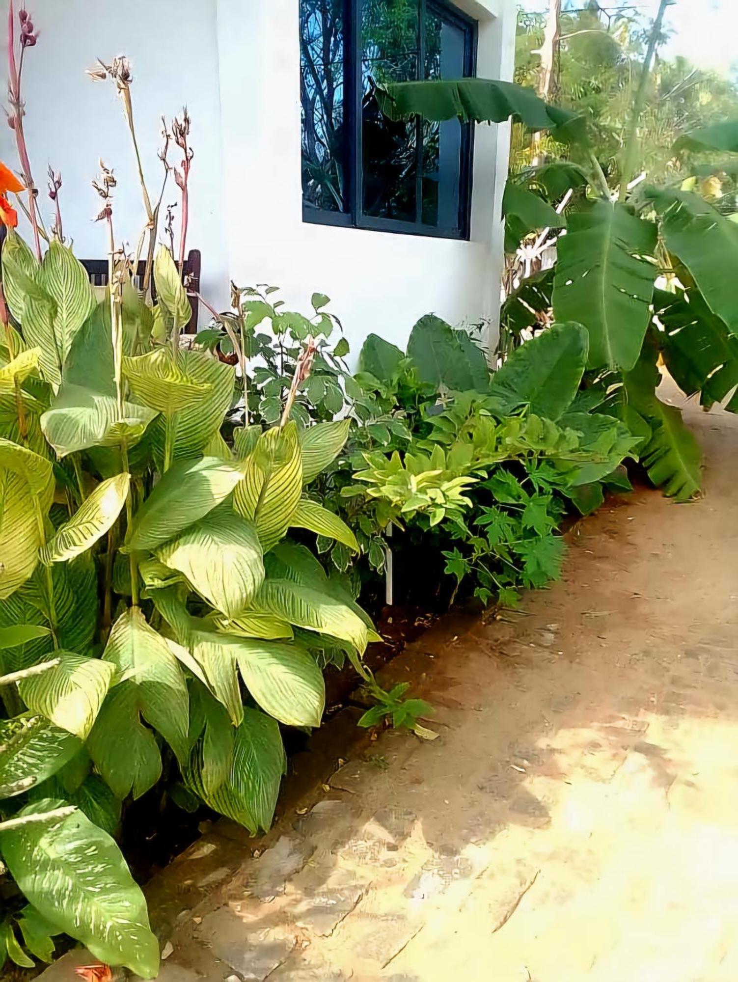 Bungalow Ramena Beach Antsiranana Andjamen Екстериор снимка
